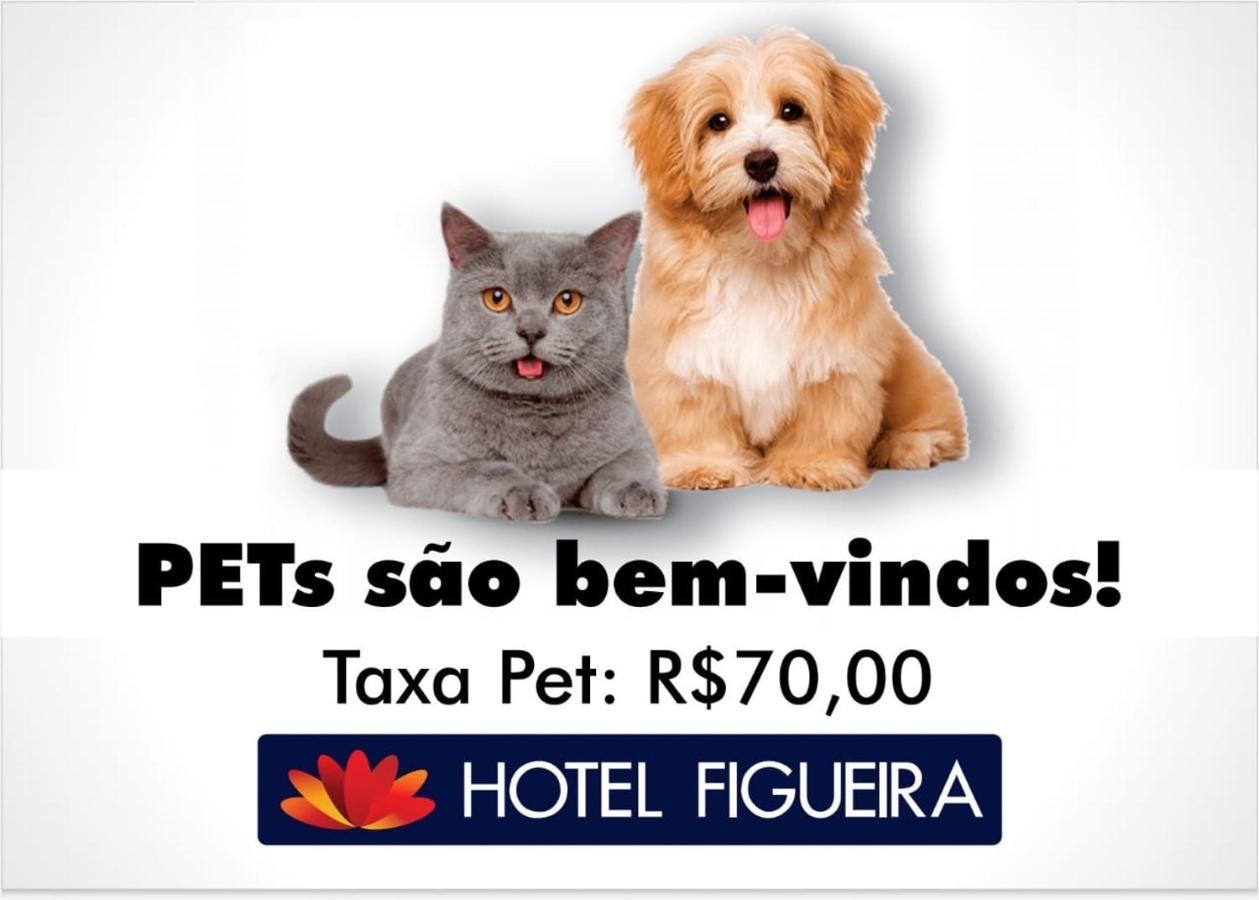 Figueira Palace 2* Dourados